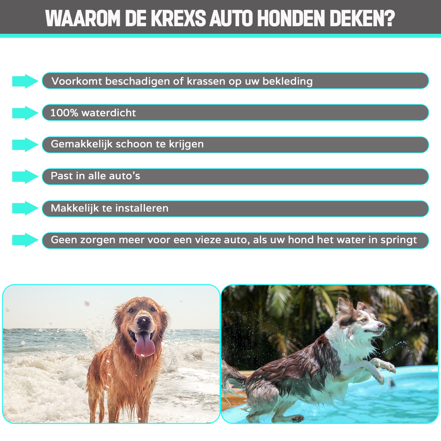 hondendeken-auto-7